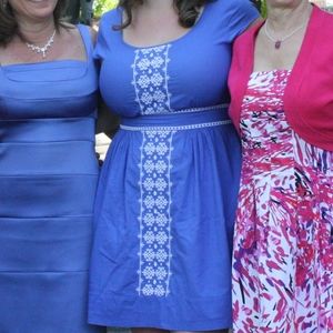 Banana Republic Periwinkle Dress